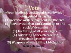 Vote.  Your Medicare and Social Security are being gutted to pay for (1) Reverse welfare payments to the rich (2) Border wall that can't stand up to one stick of dynamite (3) Forfeiting of all your rights (4) Forfeiting of health care for preexisting conditions (5) Weapons of war killing kids/adults.  Falling-Star.com Stick Of Dynamite, Border Wall, Filthy Rich, Overcome The World