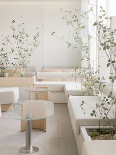 a living room filled with furniture and plants