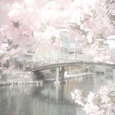 a bridge over a body of water surrounded by pink flowers