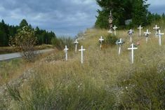 several crosses are placed on the side of a hill in front of a road and trees