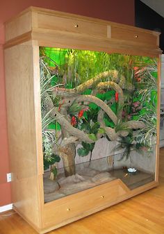 a fish tank filled with lots of plants on top of a hard wood floor next to a wall