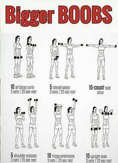 Bigger Arms Women, Lazy Fitness, Bust Workout, Summer Body Workout Plan, Gym Workout Plan For Women, Workout Routines For Beginners, All Body Workout