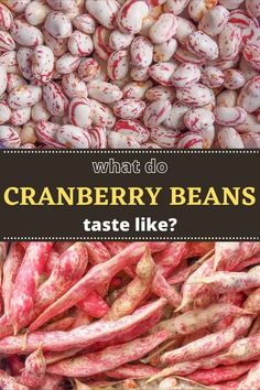 what do cranberry beans taste like? with text overlay that reads, what do cranberry beans taste like?