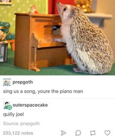 a hedge sitting on top of a wooden desk next to a toy piano with words written below it