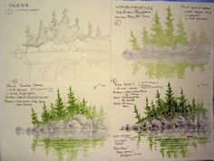 three different types of trees are shown in this hand - drawn sketch, along with other drawings