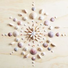 several seashells are arranged in the shape of a snowflake on a wooden surface