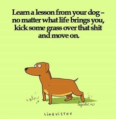 Sarkastisk Humor, Dog Quotes, Move On, What Is Life About, No Matter What, Quotes Funny, Bones Funny