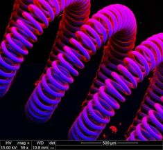 an array of purple and red spirals on a black background