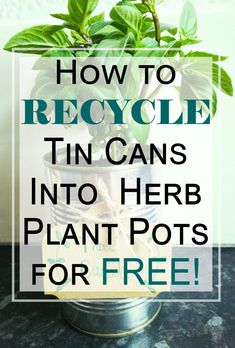 a potted plant with the words how to recycle tin cans into herb plant pots for free