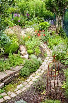 a garden filled with lots of different types of plants