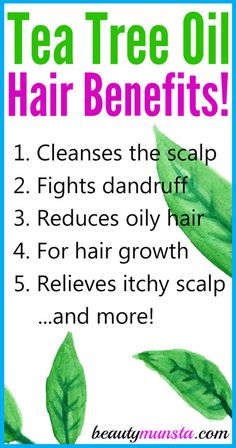 9 Amazing Tea Tree Oil Benefits for Hair beautymunsta free natural Oil Benefits For Hair, Tree Oil Benefits, Castor Oil Hair Mask, Tea Tree Oil Hair, Natural Beauty Hacks, Tea Tree Oil Benefits, Carrier Oils For Skin, Benefits Of Tea, Black Hairstyle