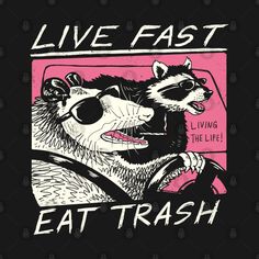 a raccoon is sitting in a car with the words live fast eat trash on it