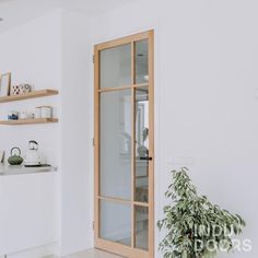 a white kitchen with open glass doors and shelves on the wall next to a potted plant