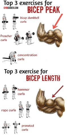 an exercise poster with instructions for how to use it