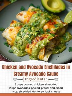 chicken and avocado enchiladas in creamy avocado sauce recipe