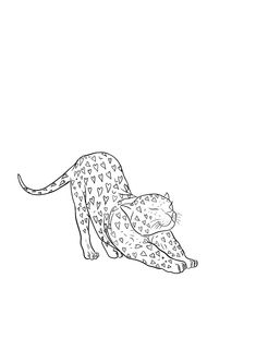 a black and white drawing of a cheetah laying on it's back