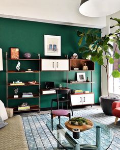 a living room filled with furniture and a large green wall behind the coffee table is a potted plant