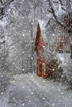 a snow covered road next to a red house in the woods with lots of snow flakes on it