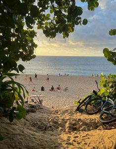 North Shore Hawaii Oahu, Oahu Hawaii Beaches, North Shore Aesthetic, Nz Summer Aesthetic, North Shore Oahu Aesthetic, Up North Aesthetic, Oahu Lifestyle, Oahu Aesthetic, Hawaii Beach Aesthetic