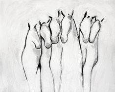 black and white drawing of four horses standing in a row