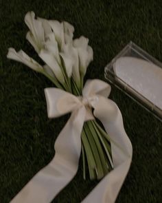 some white flowers are laying on the ground next to a glass box with something in it