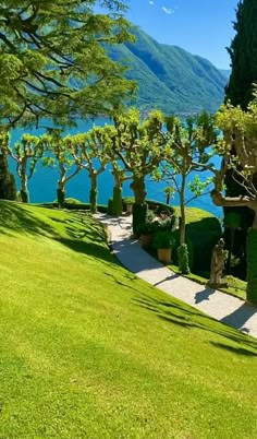 an outdoor area with trees, shrubs and walkways on the side of a lake