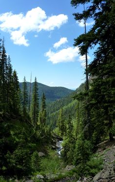 View from Fourmile Trail above the Upper Falls, near Pagosa Springs, CO. South Fork Colorado, Rio Grande National Forest, Colorado Hiking Trails, Colorado Scenery, Colorado Camping, Petrified Forest National Park, Colorado Trip, Colorado Summer, Mesa Verde National Park