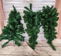 two small green plants sitting on top of a wooden table