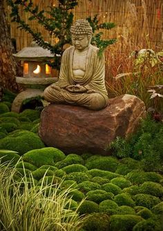 a buddha statue sitting on top of a moss covered rock