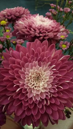 a vase filled with lots of pink flowers