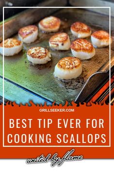 the best tips for cooking scallops