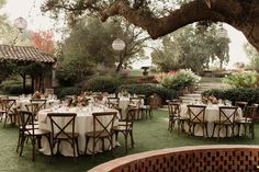 an outdoor dining area with tables and chairs set up under a large tree in the background