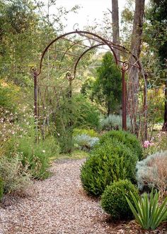 a garden with lots of trees and plants on the side of it, surrounded by gravel