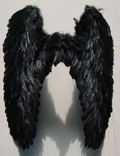 an image of black wings on a white background that looks like it is made out of feathers