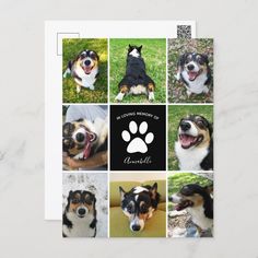 a card with photos of dogs and their names