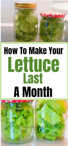 lettuce in jars with the words how to make your lettuce last for a month