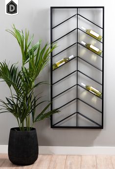 a potted plant sitting next to a wall mounted wine rack