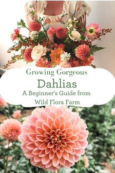 the cover of growing gorgeous dahlias, a beginner's guide from wild flora farm