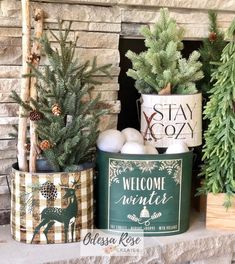 three christmas trees in buckets sitting on a mantel next to a sign that says welcome winter