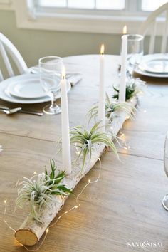 a long wooden table with candles and air plants on it, along with other place settings