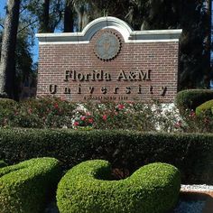 the florida a & m university sign is surrounded by topiary bushes and flowers in front of it