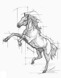 a drawing of a horse's rear end with the body and head in perspective