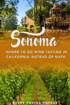 a vineyard with the words sonoma where to go wine tasting in california instead of nap