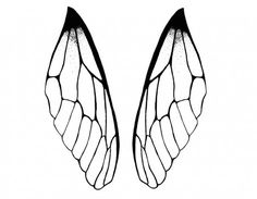 the wings of a butterfly are drawn in black and white, with one wing missing