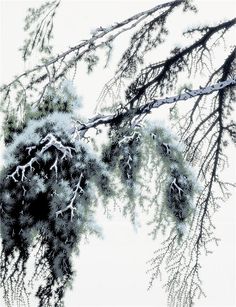 the branches of a tree are covered in snow