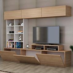 a living room with a tv and bookcases