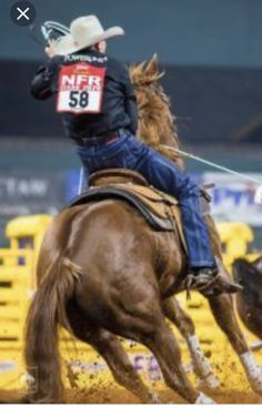 a man riding on the back of a brown horse next to a cow in an arena