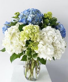 a vase filled with white and blue flowers