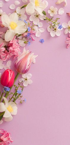 an overhead view of flowers on a pink background with white and yellow ones in the middle