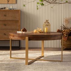 a living room with a coffee table in the middle and a birdcage on top